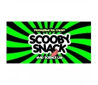 Scooby Snack Honeydew Ice Cream - Mad Science Lab