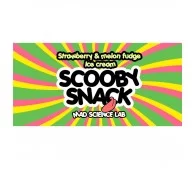 Scooby Snack Strawberry & Melon - Mad Science Lab