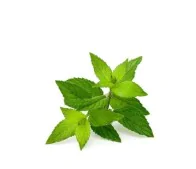 Bolsjehuset - Pebermynte