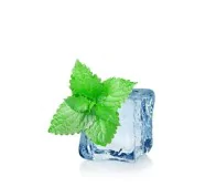 Bolsjehuset - Ice-Mint