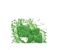 Bolsjehuset - Menthol